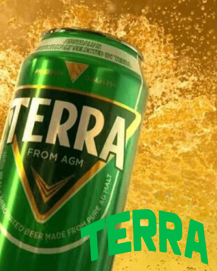 NEW ARRIVALS ✌  TERRA BEER 6 CAN