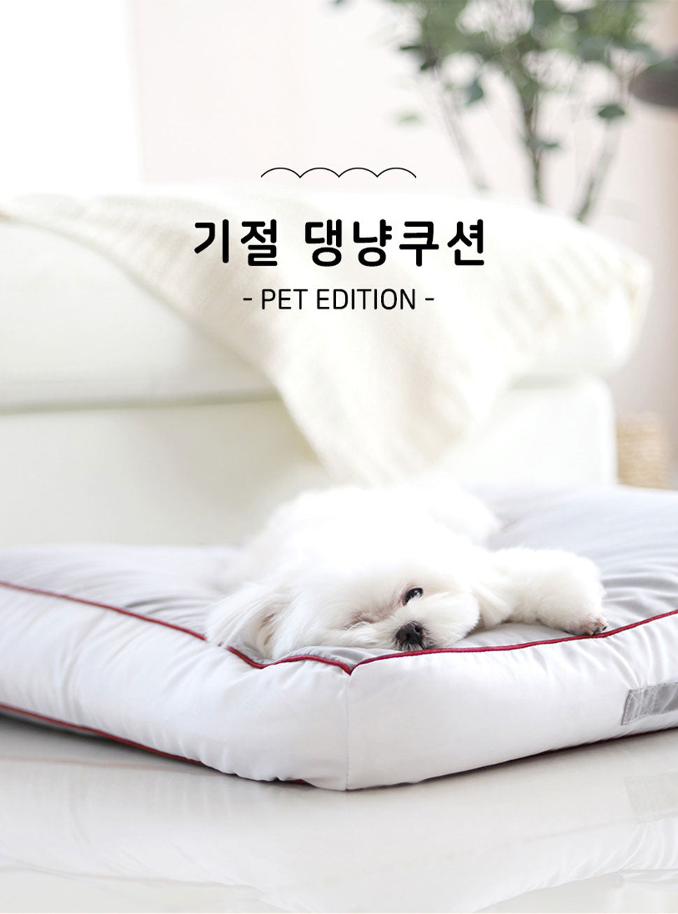 [HOME LAB] Pet Sleep on the Cloud Cushion