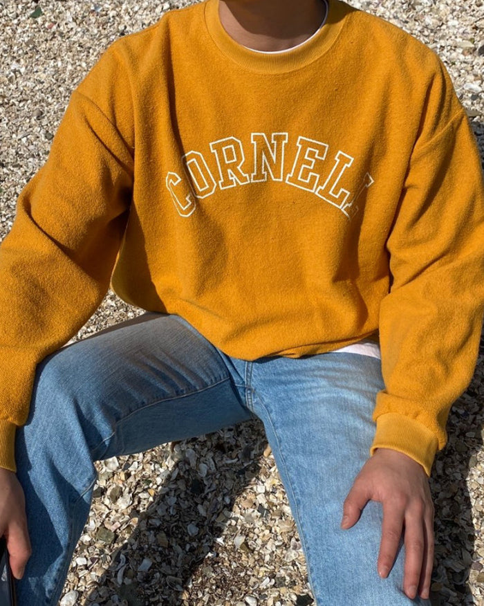 CORNELL SWEATSHIRT TOP (4801102741582)