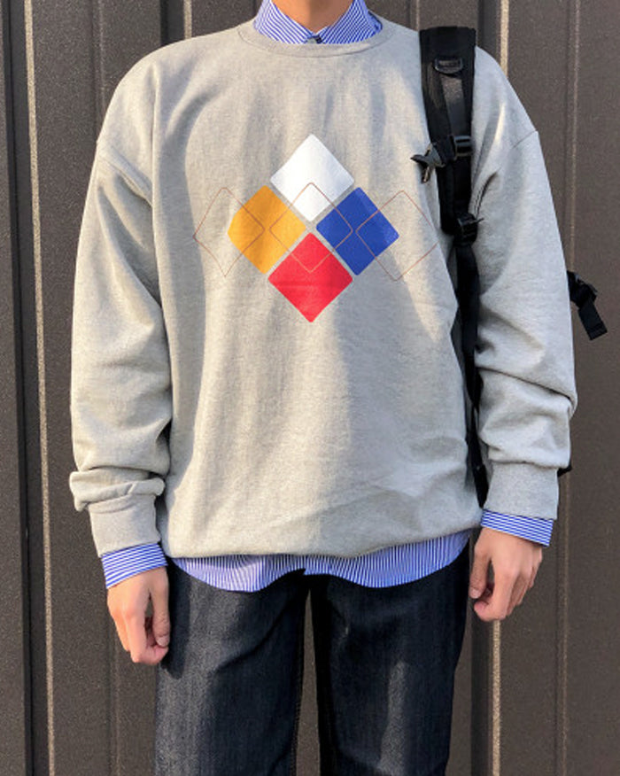 Argyle Pattern Sweatshirt (4757996437582)