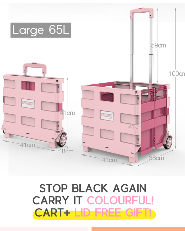 Coming Soon! Potable Folding Shopping Cart (4820282179662)