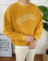 CORNELL SWEATSHIRT TOP (4801102741582)