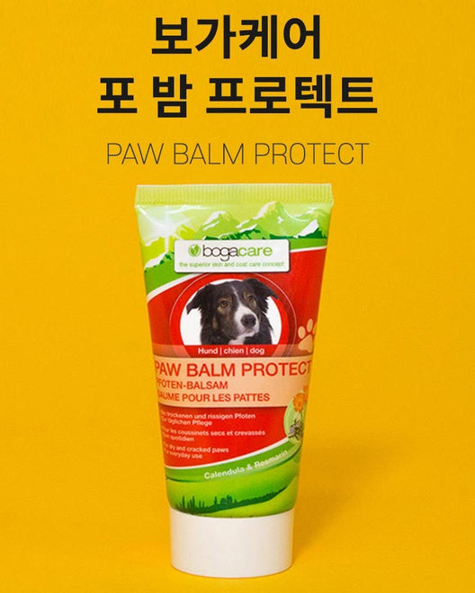 [BOGACARE] PAW BALM PROTECT 50ml