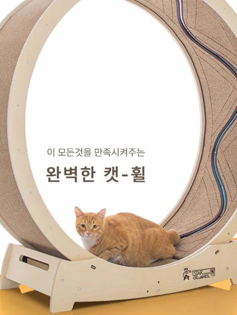 Cat wheel with inside carpet